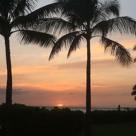 Lovely Relaxing Lanikai Studio, Legal Vacation Rental 凯卢阿 外观 照片