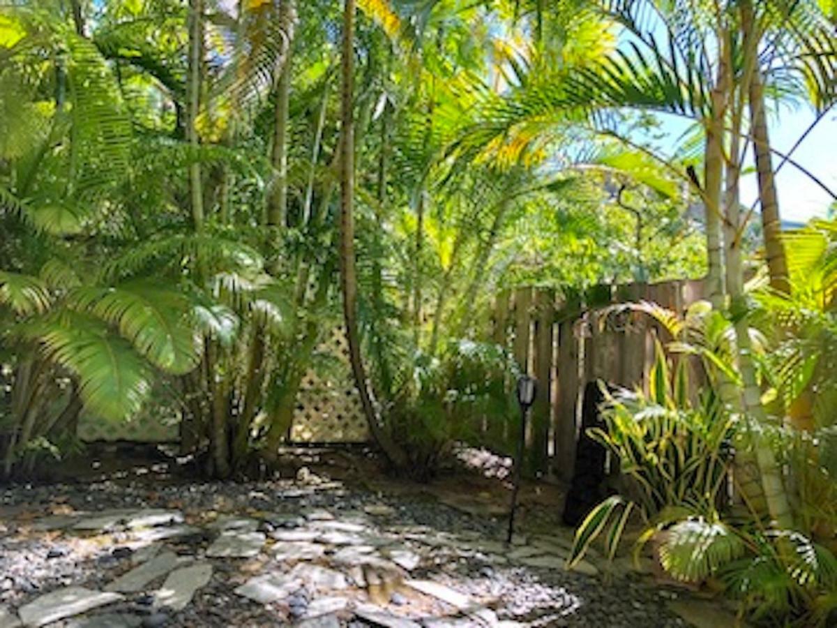Lovely Relaxing Lanikai Studio, Legal Vacation Rental 凯卢阿 外观 照片