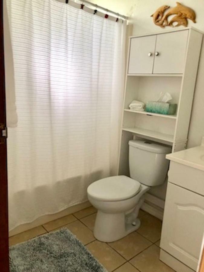 Lovely Relaxing Lanikai Studio, Legal Vacation Rental 凯卢阿 外观 照片