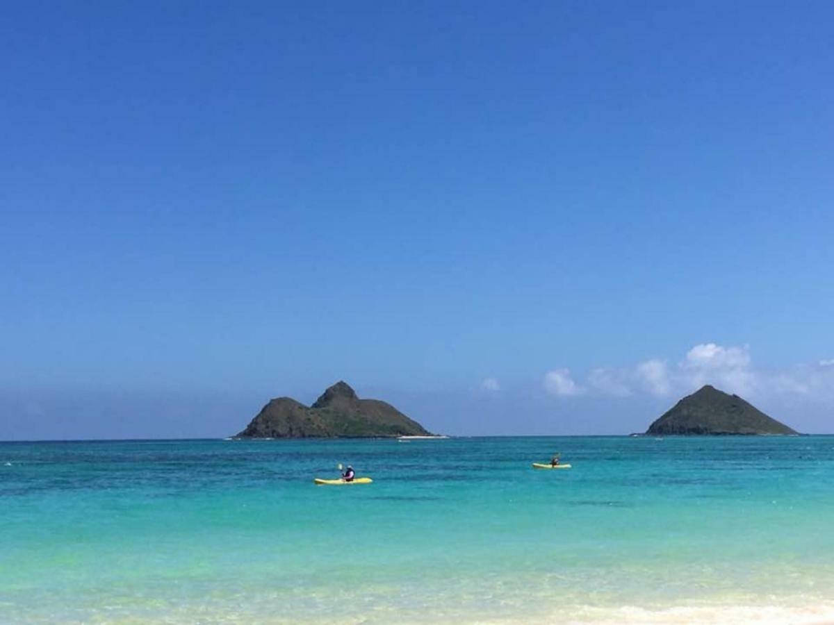 Lovely Relaxing Lanikai Studio, Legal Vacation Rental 凯卢阿 外观 照片